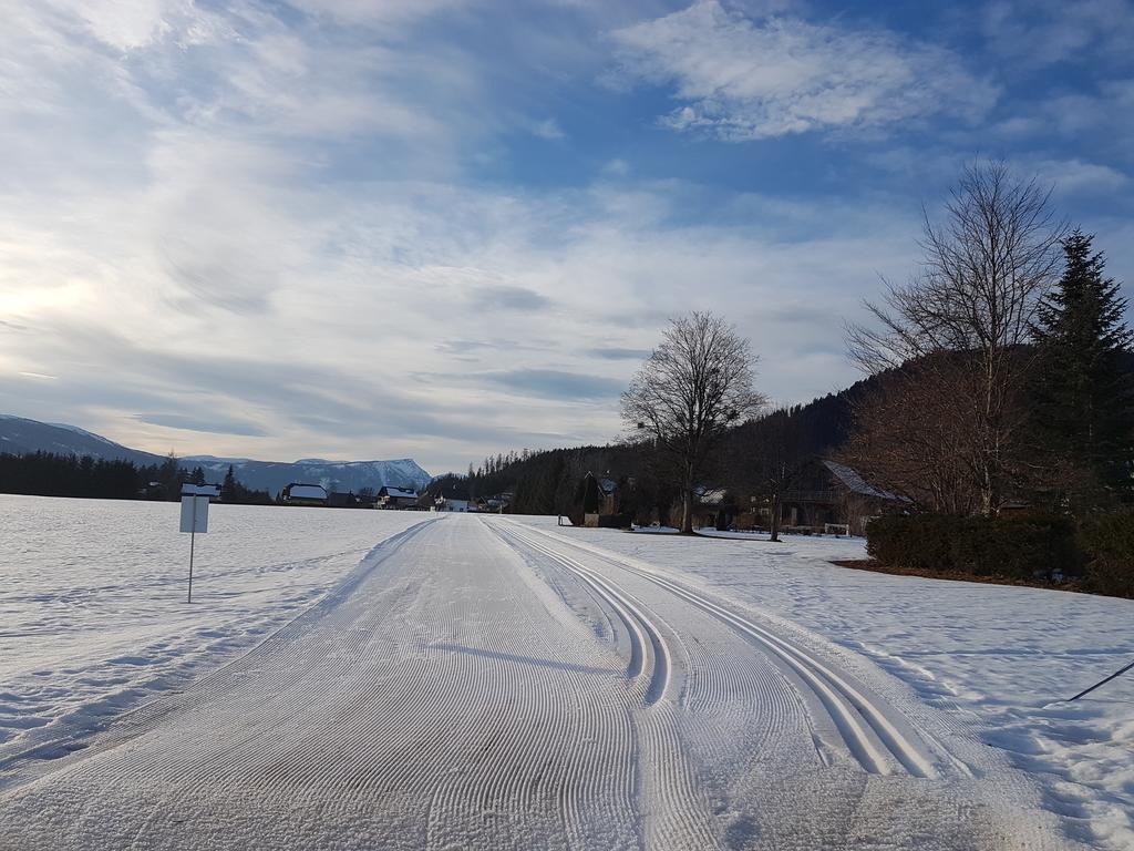 Nina'S Appartement Bad Mitterndorf Luaran gambar