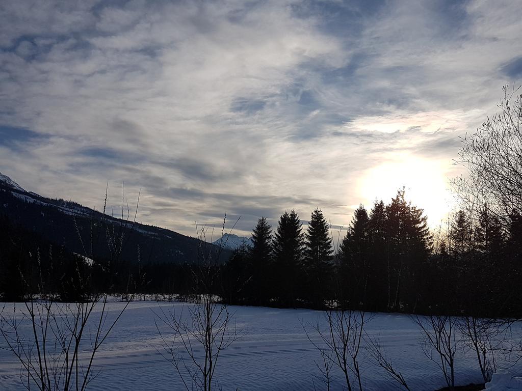 Nina'S Appartement Bad Mitterndorf Luaran gambar