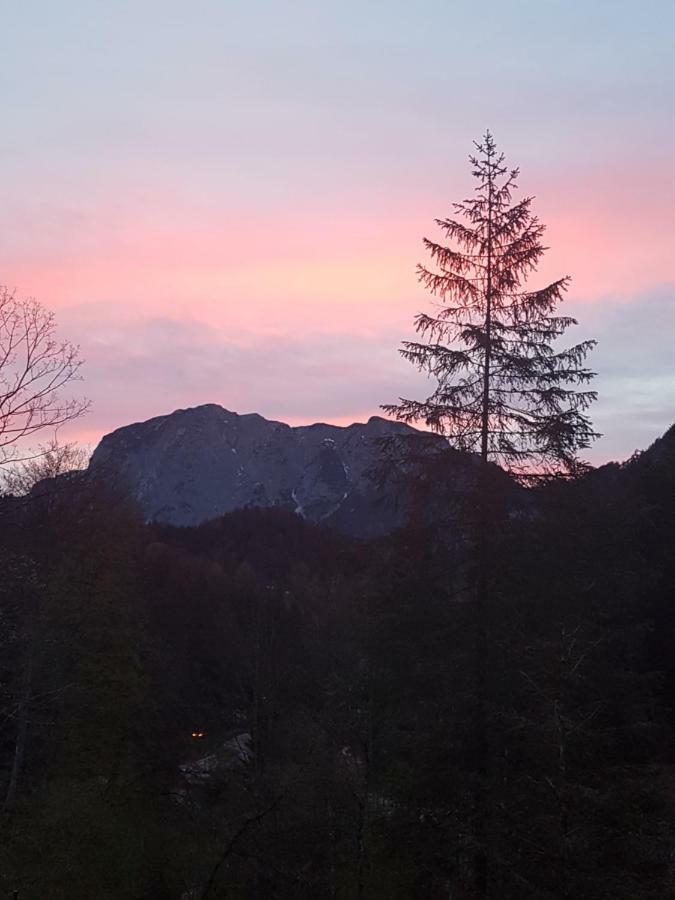 Nina'S Appartement Bad Mitterndorf Luaran gambar