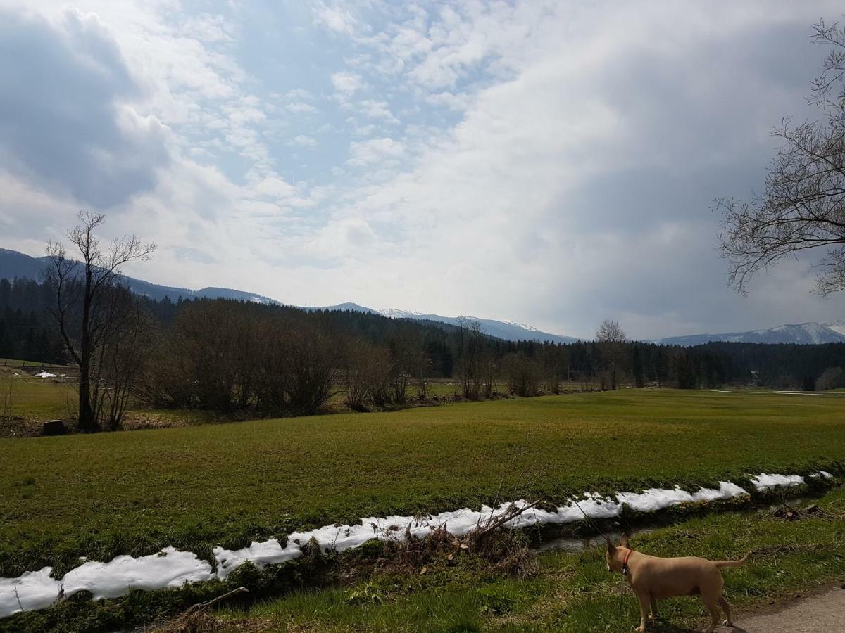Nina'S Appartement Bad Mitterndorf Luaran gambar